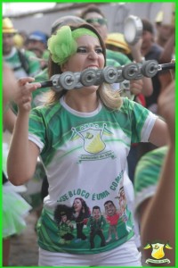 pre-carnaval2014-3o-dia_0104