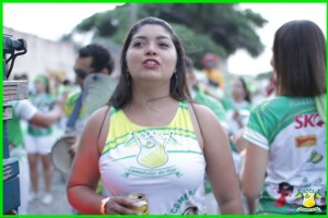 pre-carnaval2014-3o-dia_0154